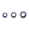 Silver hexagonal nuts with metal fasteners embedded with blue lock washers Item Picture
